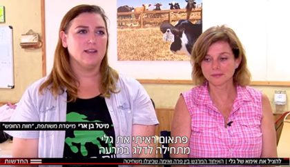 מהדורה מרכזית – האיחוד המרגש של גלי ואנג'לה – אוג' 19