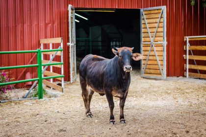 November 2016 – We’re Home