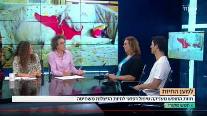 חמש מקורי ערוץ 11