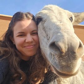 WhatsApp Image 2024-12-19 at 14.49.19