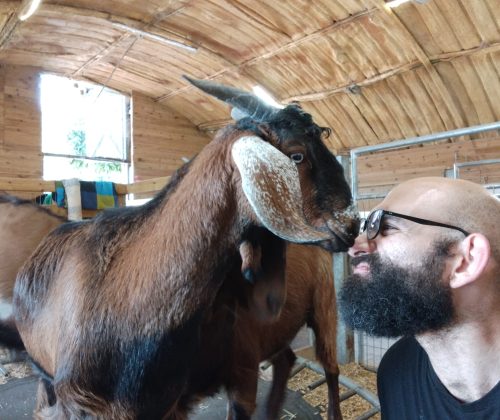 WhatsApp Image 2026-02-12 at 12.50.35