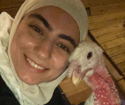 WhatsApp Image 2026-03-06 at 12.38.01