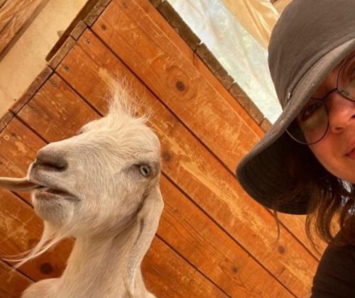 dd6433a3-9afb-4ee8-9906-92350b637d58