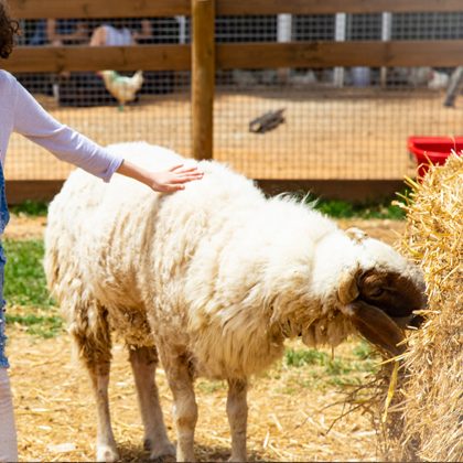 Integrating activities for special needs populations – Feb 2019